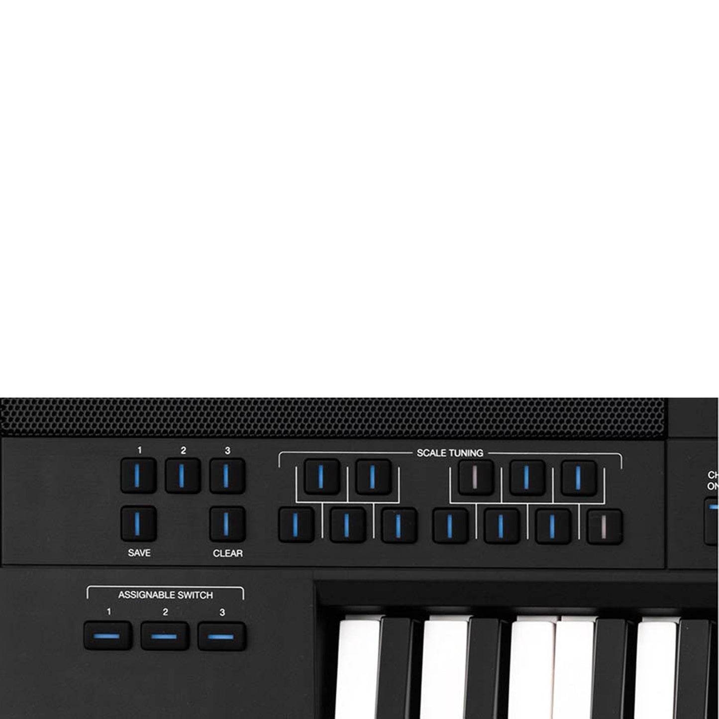Medeli DANTE ZEN – Arranger Keyboard | 61 Keys