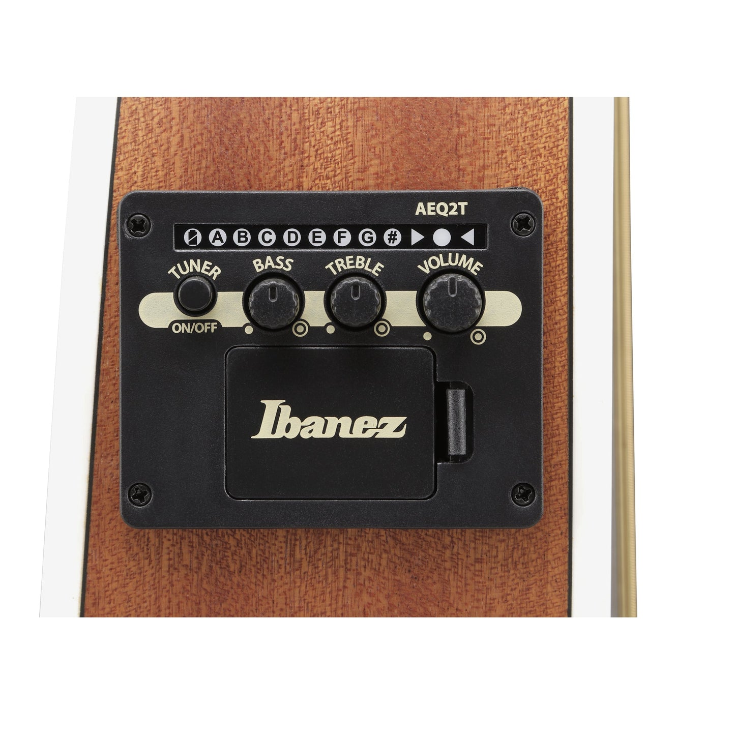 Ibanez TCY12E-OPN - Acoustic Electric Guitar | Open Pore Natural