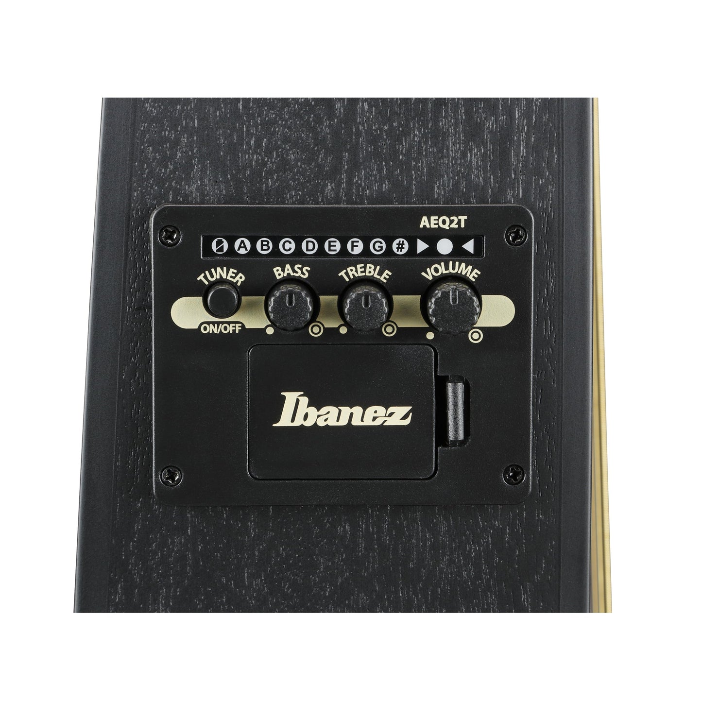 Ibanez TCY621-BOT - Acoustic Electric Guitar | Black Out