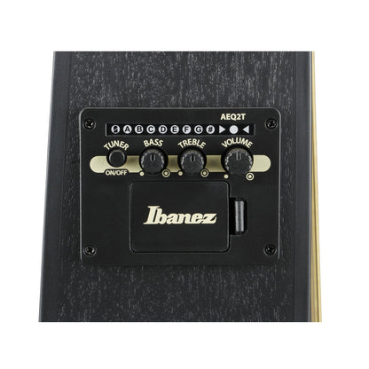 Ibanez TCY621-BOT - Acoustic Electric Guitar | Black Out
