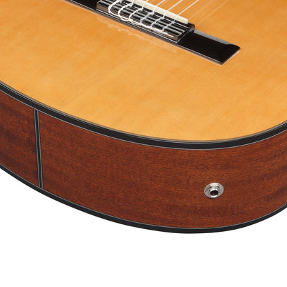 Ibanez GA6CE-AM GA Series Cutaway Classical Acoustic Electric Guitar | Spruce Top | Sapele Back & Sides | Purpleheart Fretboard | Amber High Gloss