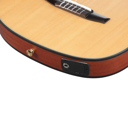 Ibanez FRH10N-NTF - Nylon Acoustic Electric Guitar | Natural Flat
