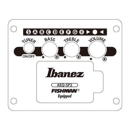Ibanez AEG721-BOT - 7-String Acoustic Electric Guitar | Black Out