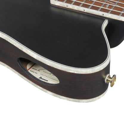Ibanez TOD10NL-TKF - Left-Hand Classical Guitar | Transparent Black Flat