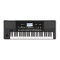 Korg PA300 Professional Arranger Keyboard | 61 Keys