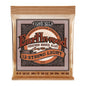 Ernie Ball P02153 Earthwood Phosphor Bronze Light 12-String Acoustic Strings 9-46