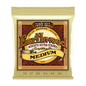 Ernie Ball P02002 Earthwood Medium Acoustic Strings 13-56