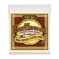 Ernie Ball P02047 Earthwood Silk & Steel Extra Soft Acoustic Strings 10-50