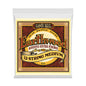 Ernie Ball P02012 Earthwood 12-String Acoustic Strings 11-52