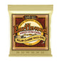 Ernie Ball P02069 Earthwood Nylon Ball End Folk Classical Strings Clear & Gold