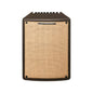 Ibanez T80II-U – Troubadour 80W Acoustic Guitar Combo Amp