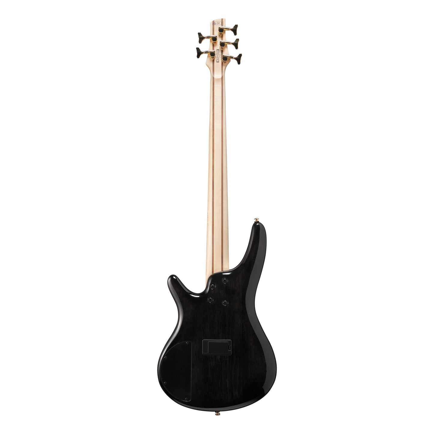 Ibanez SR405EPBDX-TSU 5-String Bass Guitar | Tropical Seafloor Burst