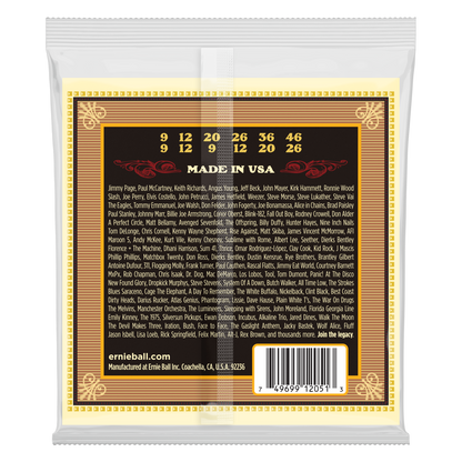 Ernie Ball P02051 Earthwood Silk & Steel Soft 12-String Acoustic Strings 9-46