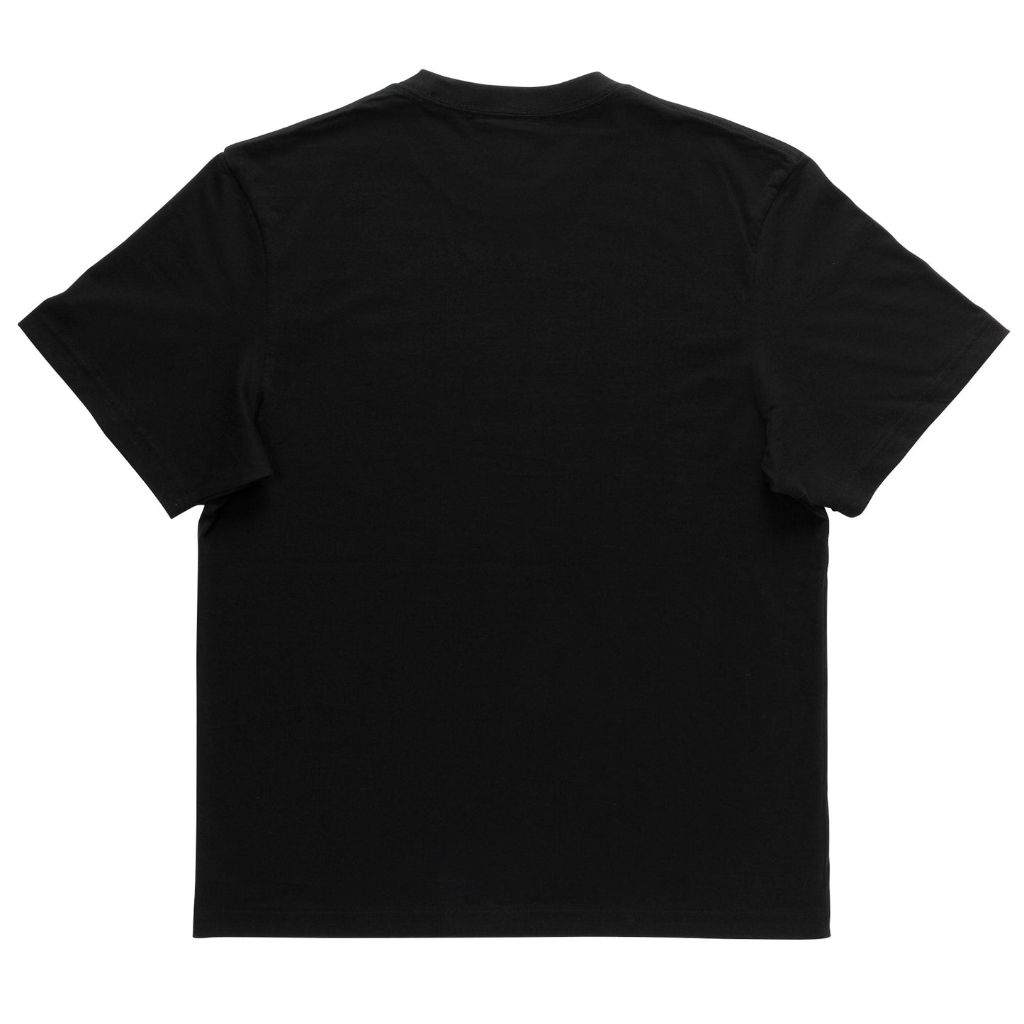 Ibanez IBAT011L Iron Label T-Shirt – Black Large Unisex