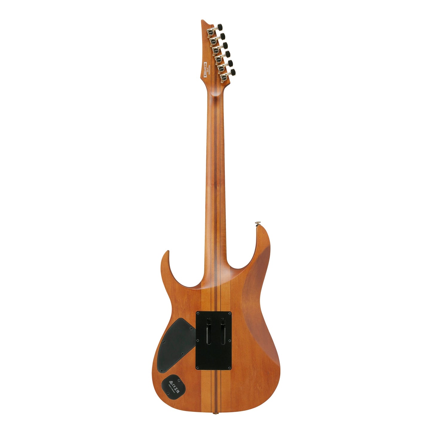Ibanez RGT1220PB-ABS Electric Guitar | Antique Brown Stained