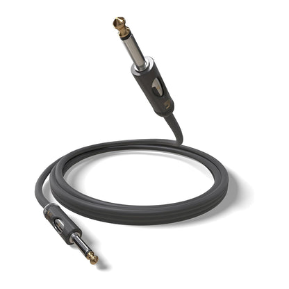 D'Addario PW-AMSK-10 American Stage Kill Switch Instrument Cable 10ft