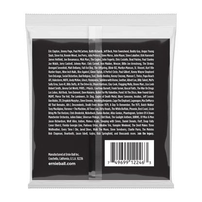 Ernie Ball P02246 Regular Slinky Stainless Steel Wound Electric Strings 10-46