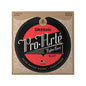 EJ47 Pro-Arté 80/20 Bronze Classical Guitar Strings Normal