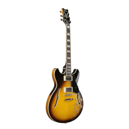 Ibanez JSM10EM-TTB John Scofield Hollow Body Guitar | Twotone Burst
