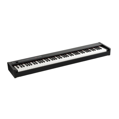 Korg D1 | 88-Key Digital Portable Piano | RH3 Action