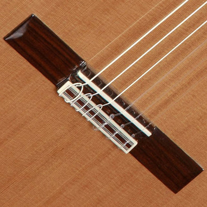 Alhambra 8891 V – Classical Guitar | Gloss Finish
