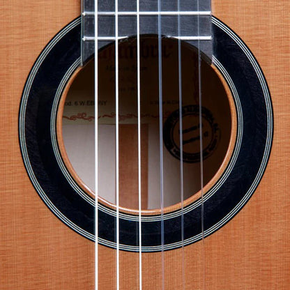 Alhambra 8891 V – Classical Guitar | Gloss Finish