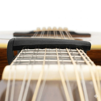 D'Addario PW-CP-07 NS Capo Lite Electric Acoustic Guitar