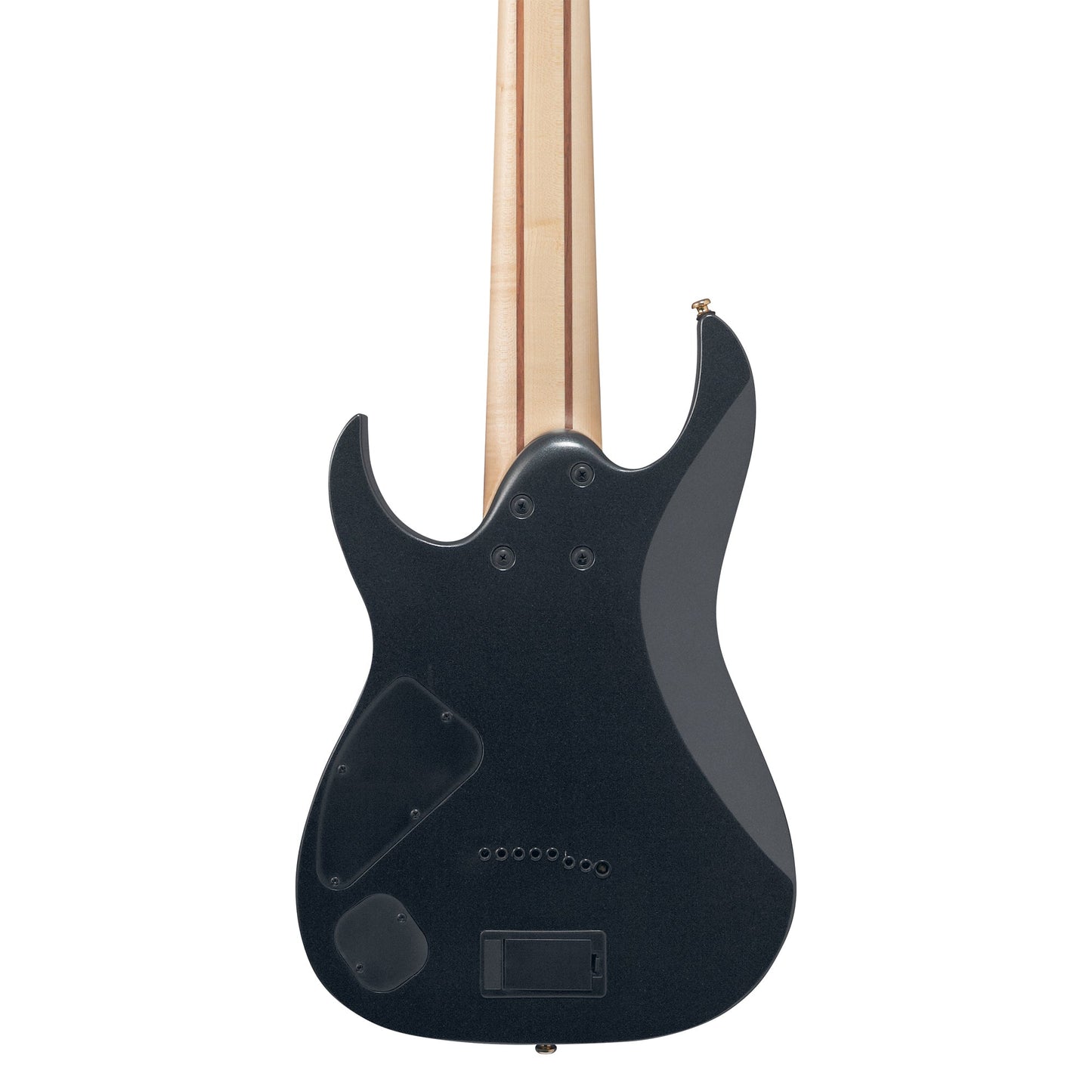 Ibanez RG80F-IPT 8-String Electric Guitar | Iron Pewter