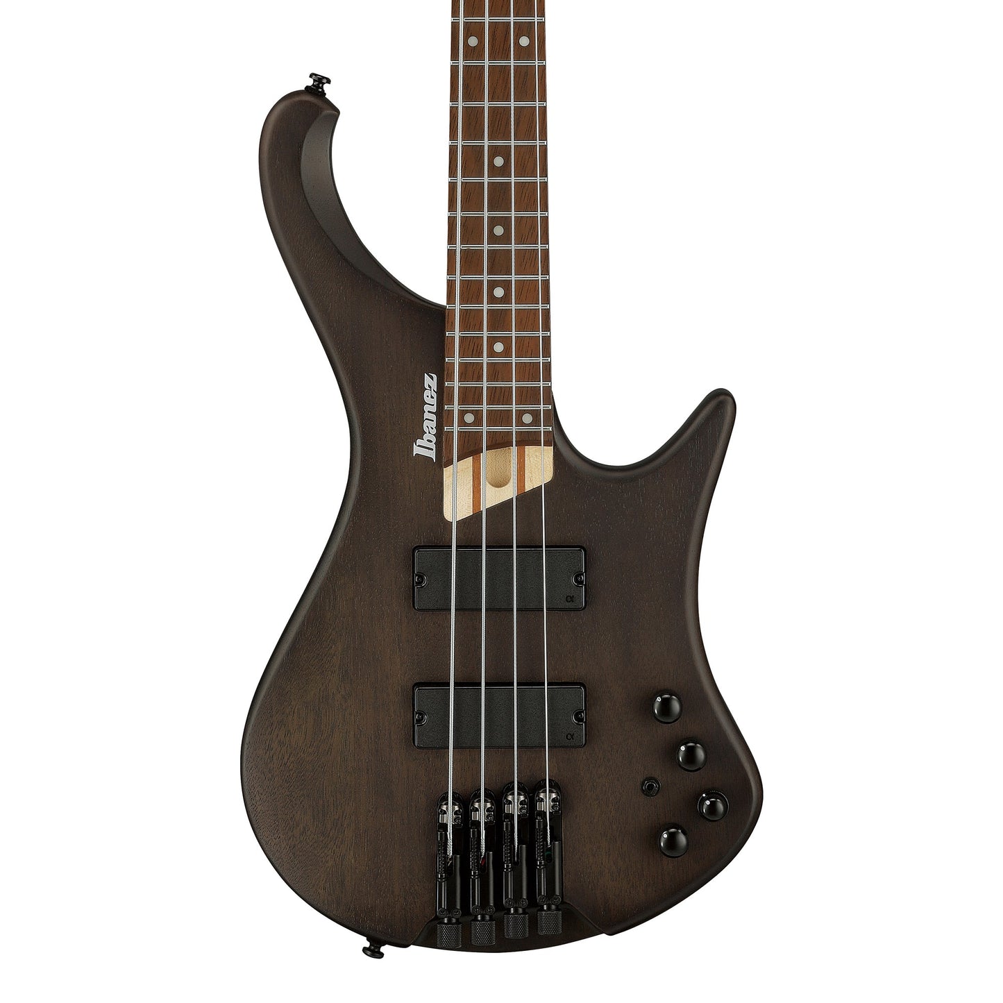 Ibanez EHB600-WNF – Bass Guitar | Walnut Flat