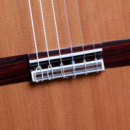 Alhambra 8890 V – Classical Guitar | Gloss Finish