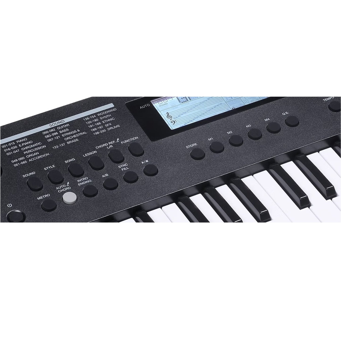 Medeli MK49 – Mini Portable Keyboard | 49 Keys