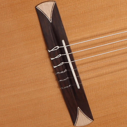 Alhambra 8776 V – Crossover Electro Classical Guitar | Gloss