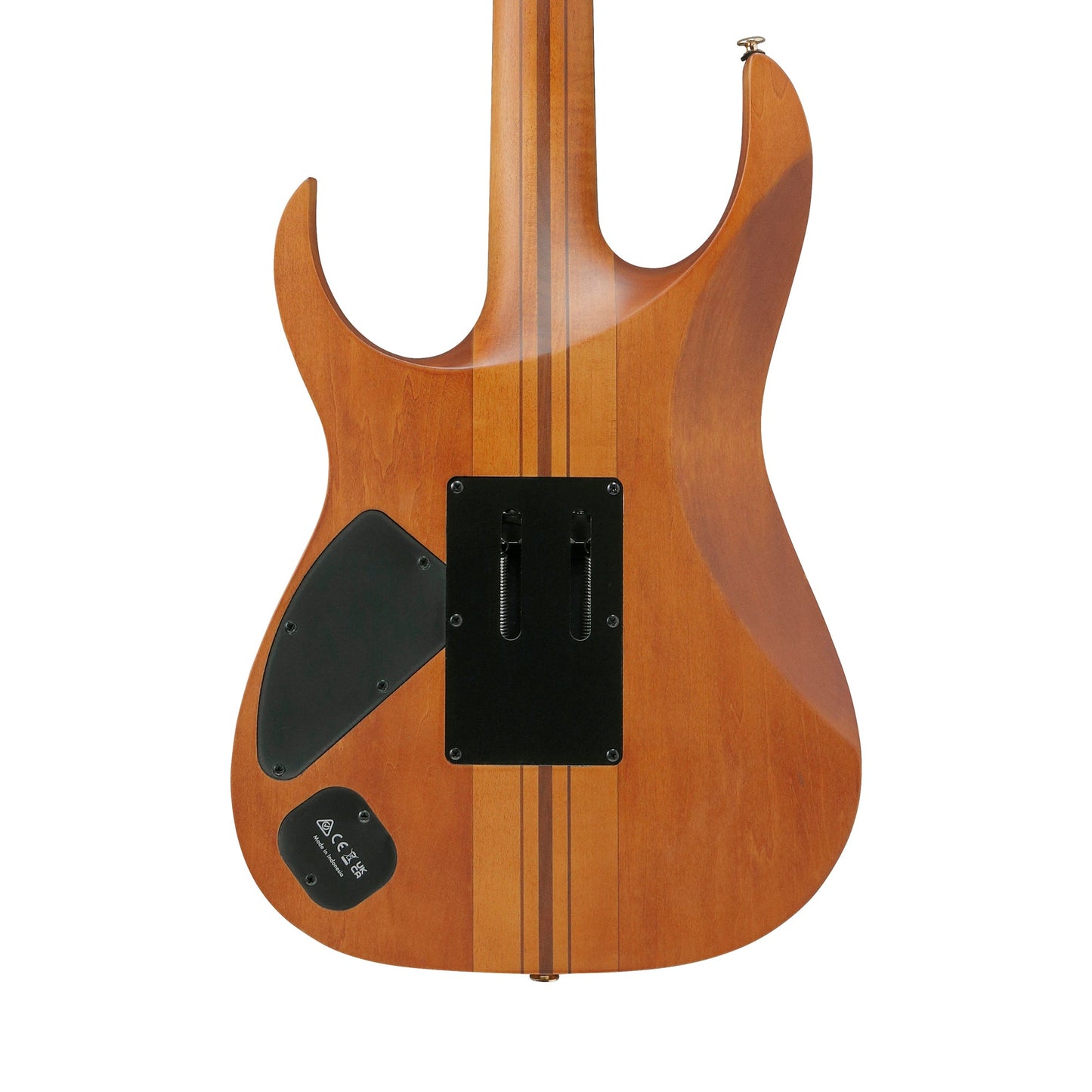 Ibanez RGT1220PB-ABS Electric Guitar | Antique Brown Stained