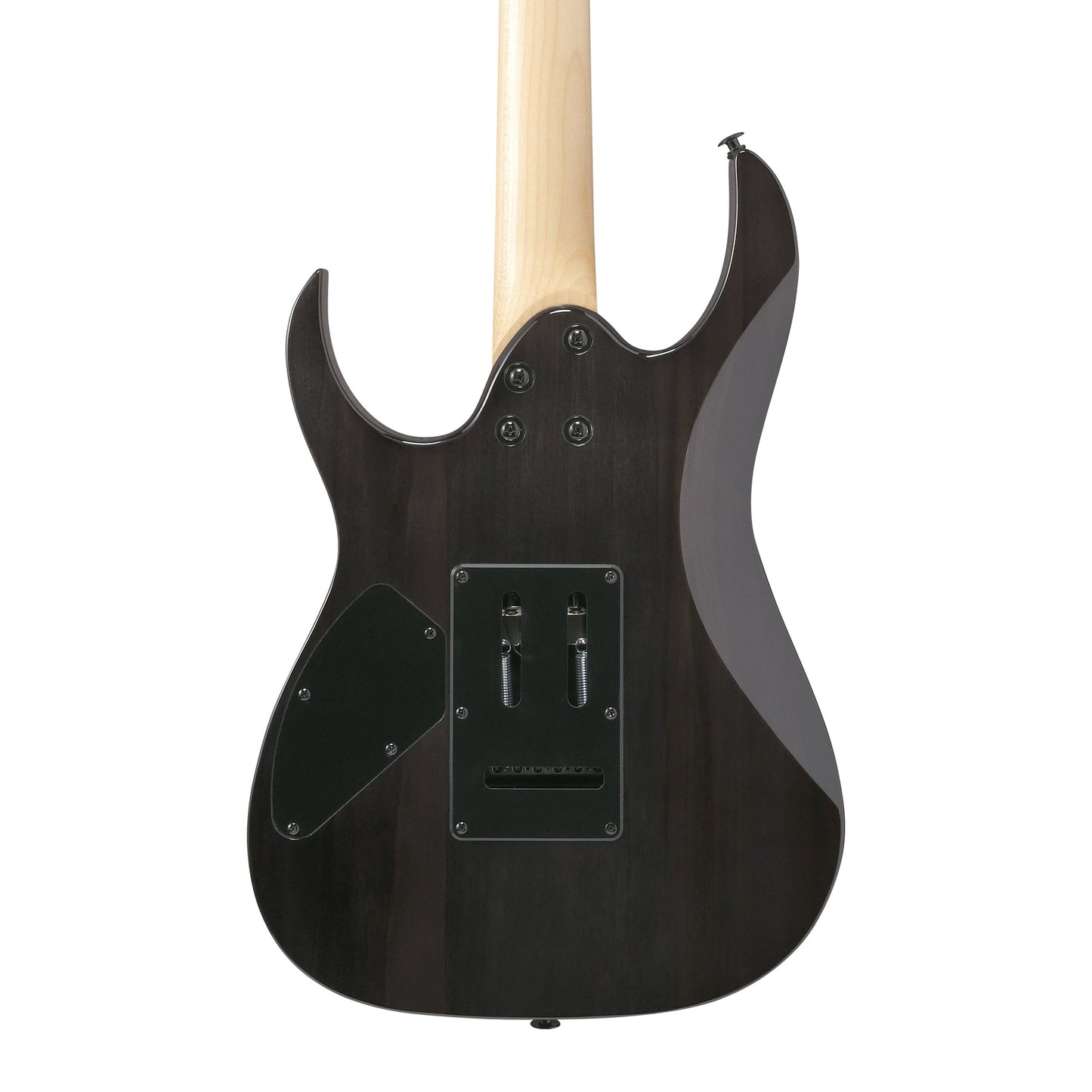 Ibanez GRG120QASP-BKG GIO Electric Guitar | Black Gradation