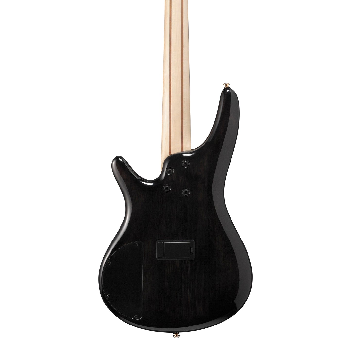 Ibanez SR405EPBDX-TSU 5-String Bass Guitar | Tropical Seafloor Burst
