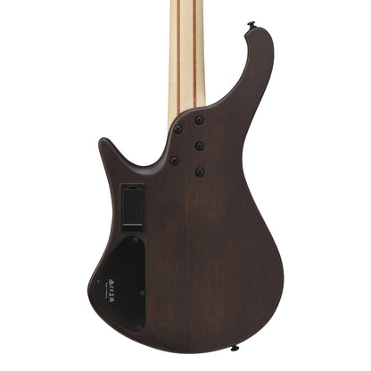 Ibanez EHB600-WNF – Bass Guitar | Walnut Flat