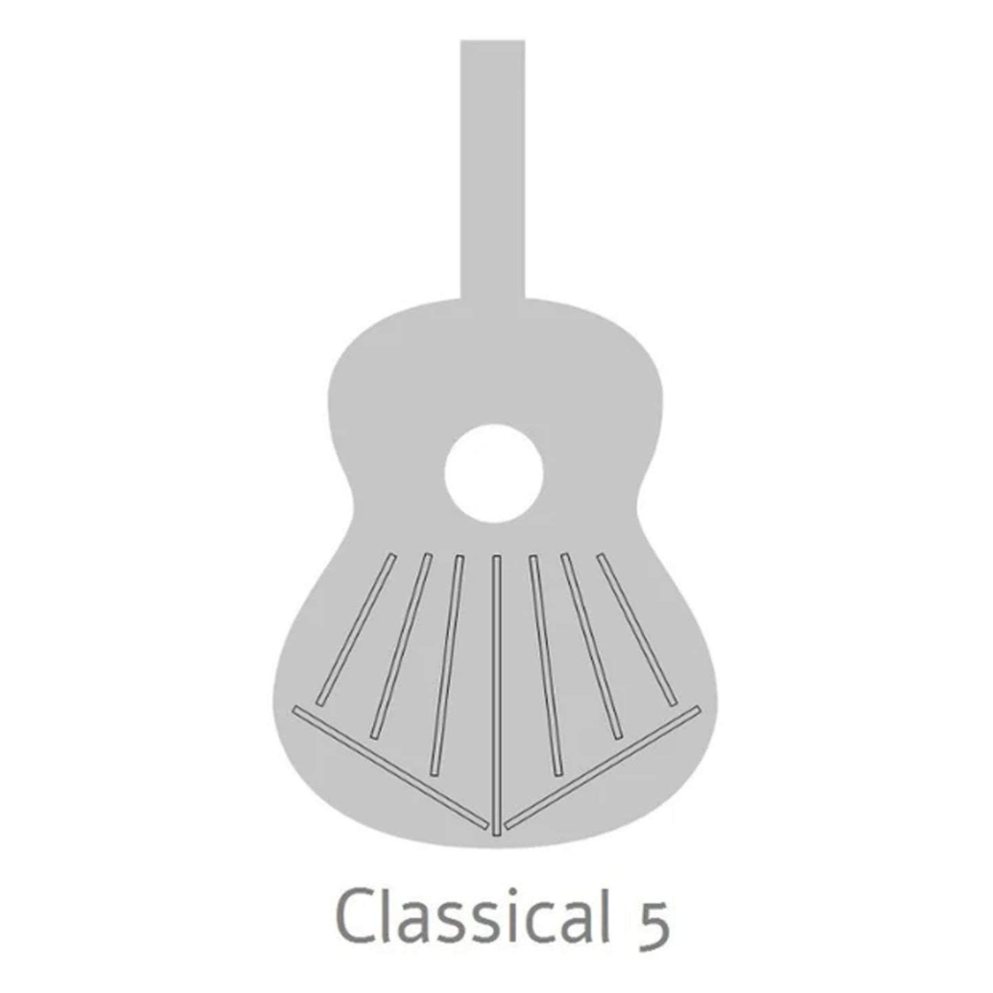 Alhambra 8209 – Flamenco Classical Guitar | Gloss Finish