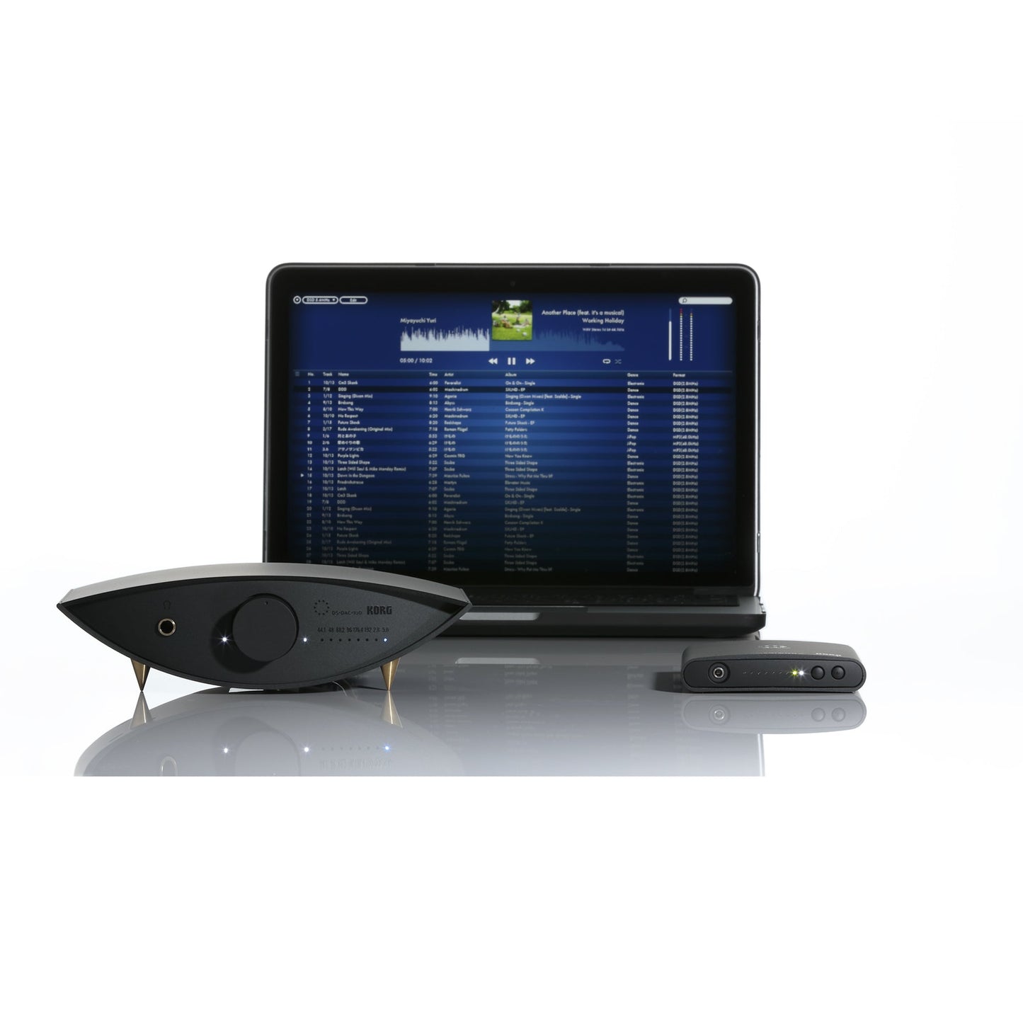 Korg DS-DAC-100m USB DAC | DSD Native Playback | AudioGate 3