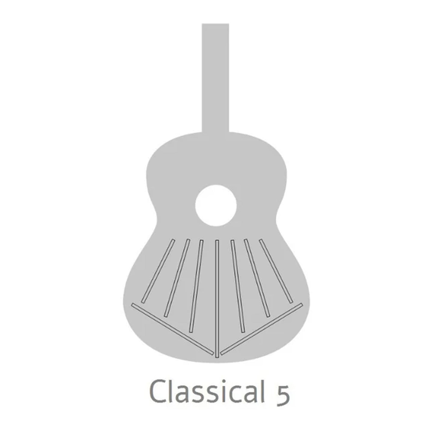 Alhambra 8890 V – Classical Guitar | Gloss Finish