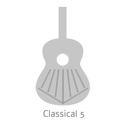 Alhambra 8890 V – Classical Guitar | Gloss Finish