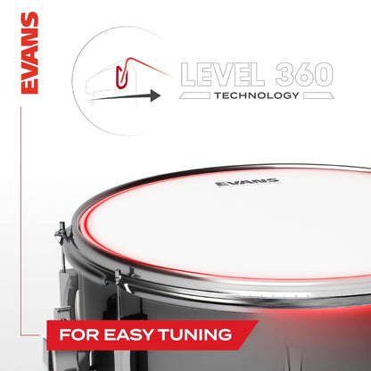 Evans B08G2 Gen G2 8" Coated Tom Drumhead | Batter
