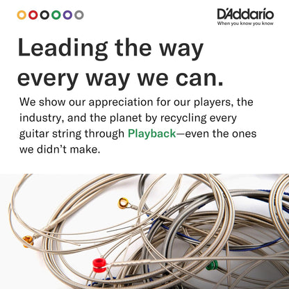 D'Addario EJ36 80/20 Bronze 12-String Acoustic Guitar Strings Light