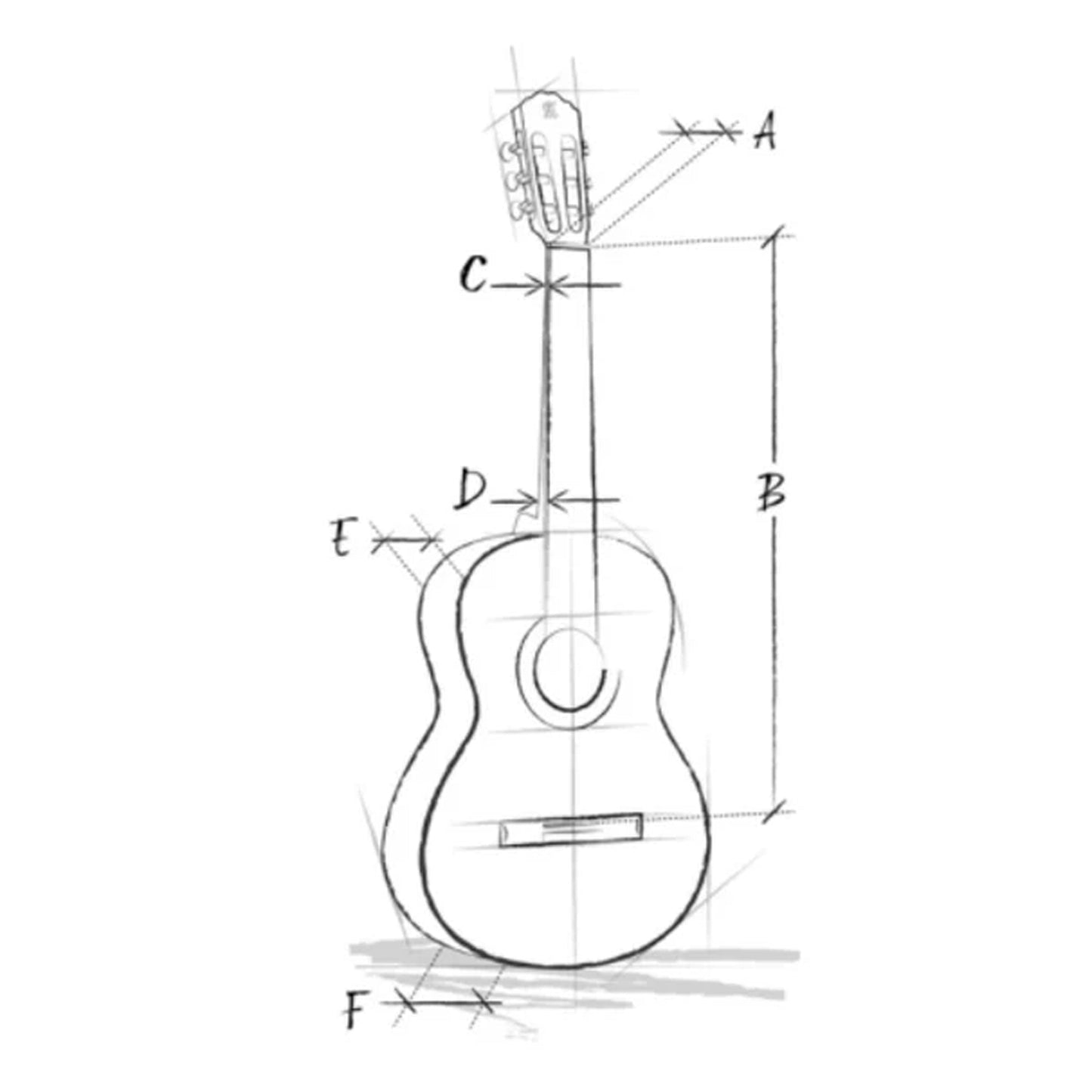 Alhambra 2304 – 7C Classical Guitar | Gloss Finish
