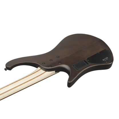Ibanez EHB600-WNF – Bass Guitar | Walnut Flat