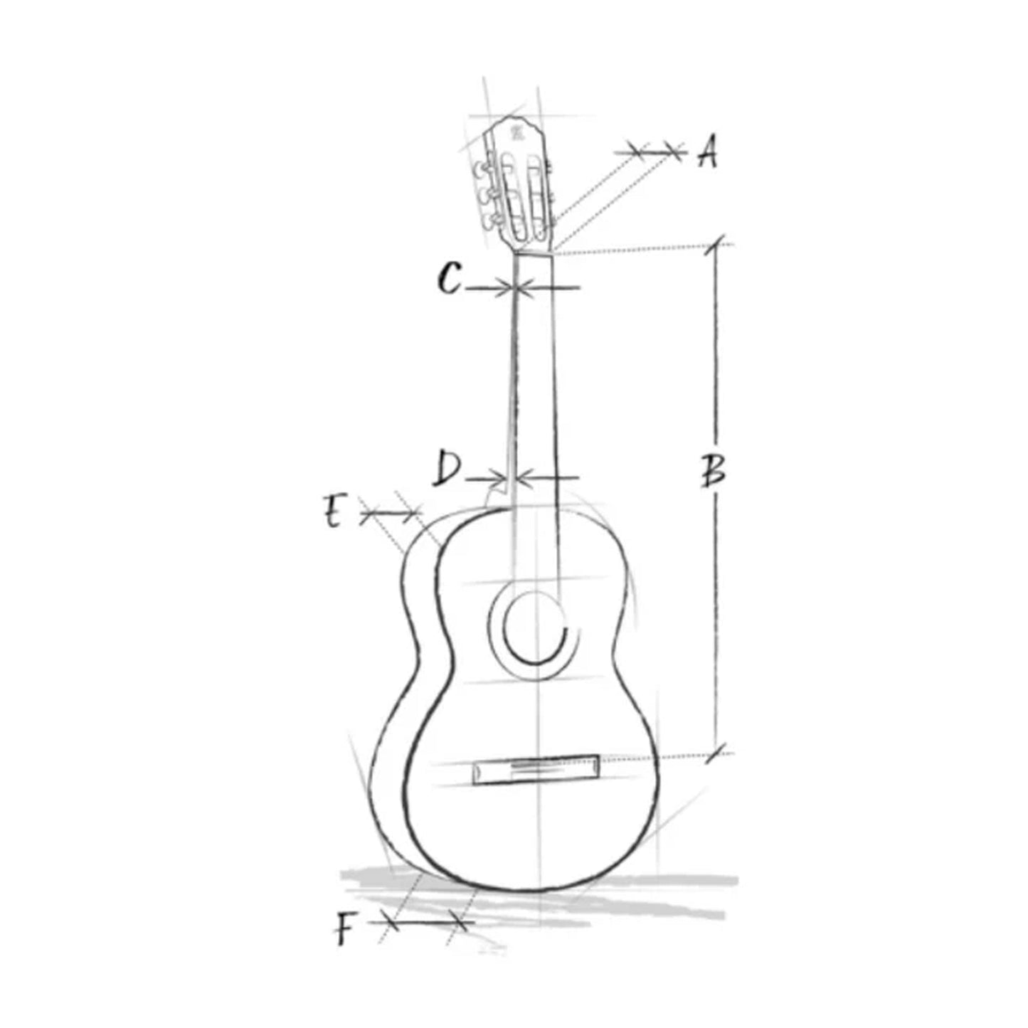 Alhambra 8891 V – Classical Guitar | Gloss Finish