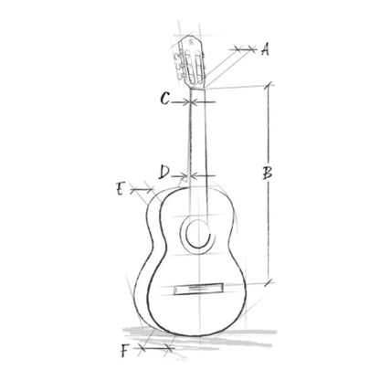 Alhambra 8240 – Flamenco Classical Guitar | Gloss Finish