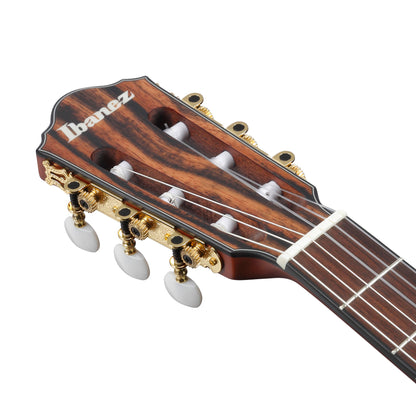 Ibanez FRH10N-IBF - Nylon Acoustic Electric Guitar | Indigo Blue Metallic Flat
