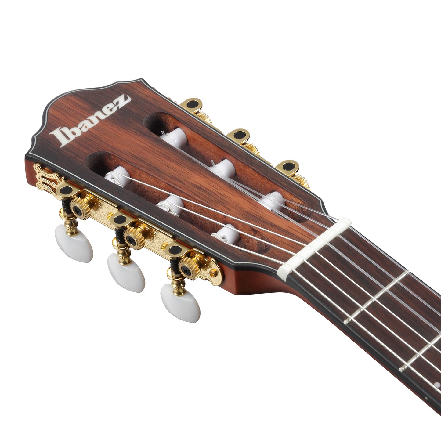 Ibanez FRH10N-RGF Nylon Acoustic Electric Guitar | Rose Gold Metallic Flat