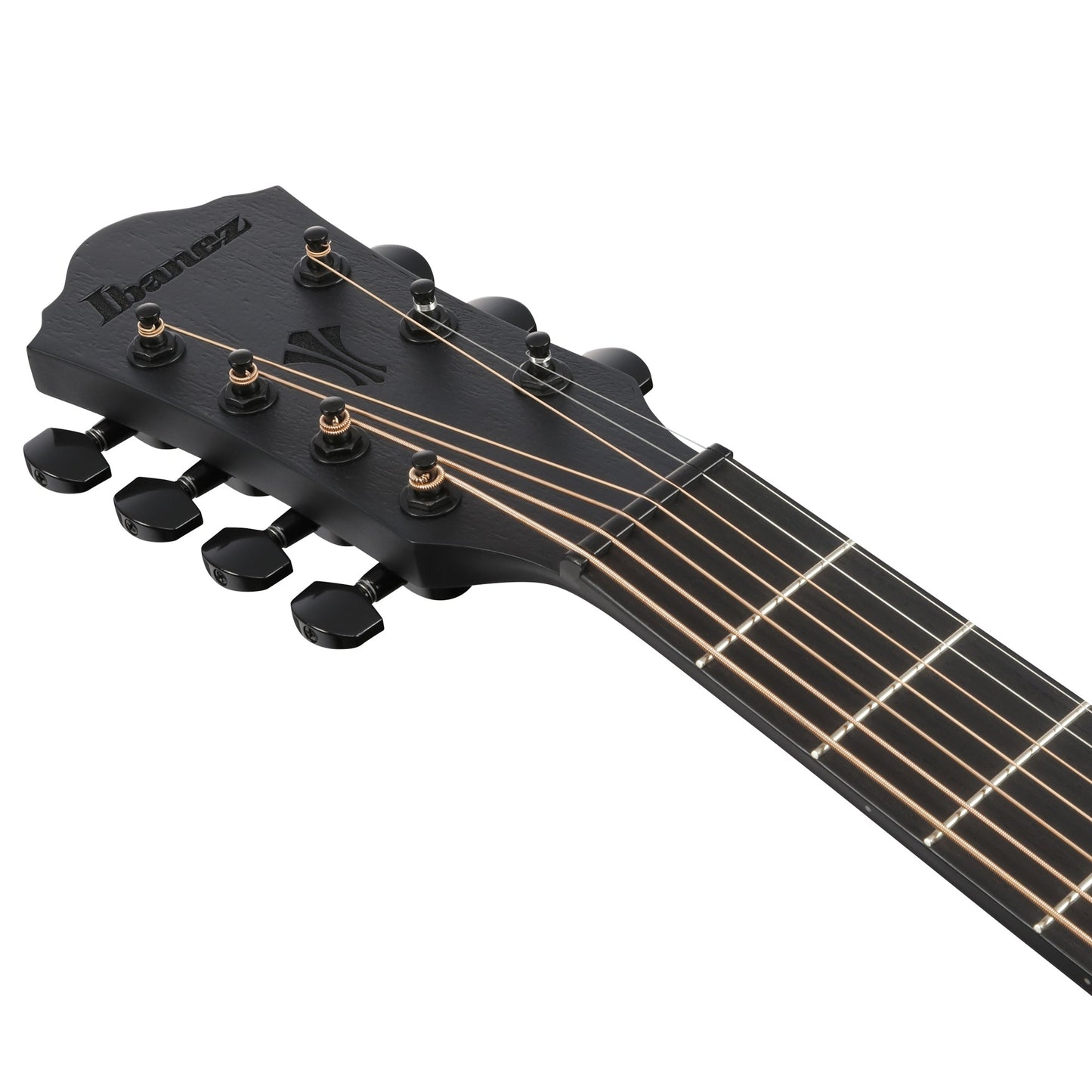 Ibanez AEG721-BOT - 7-String Acoustic Electric Guitar | Black Out