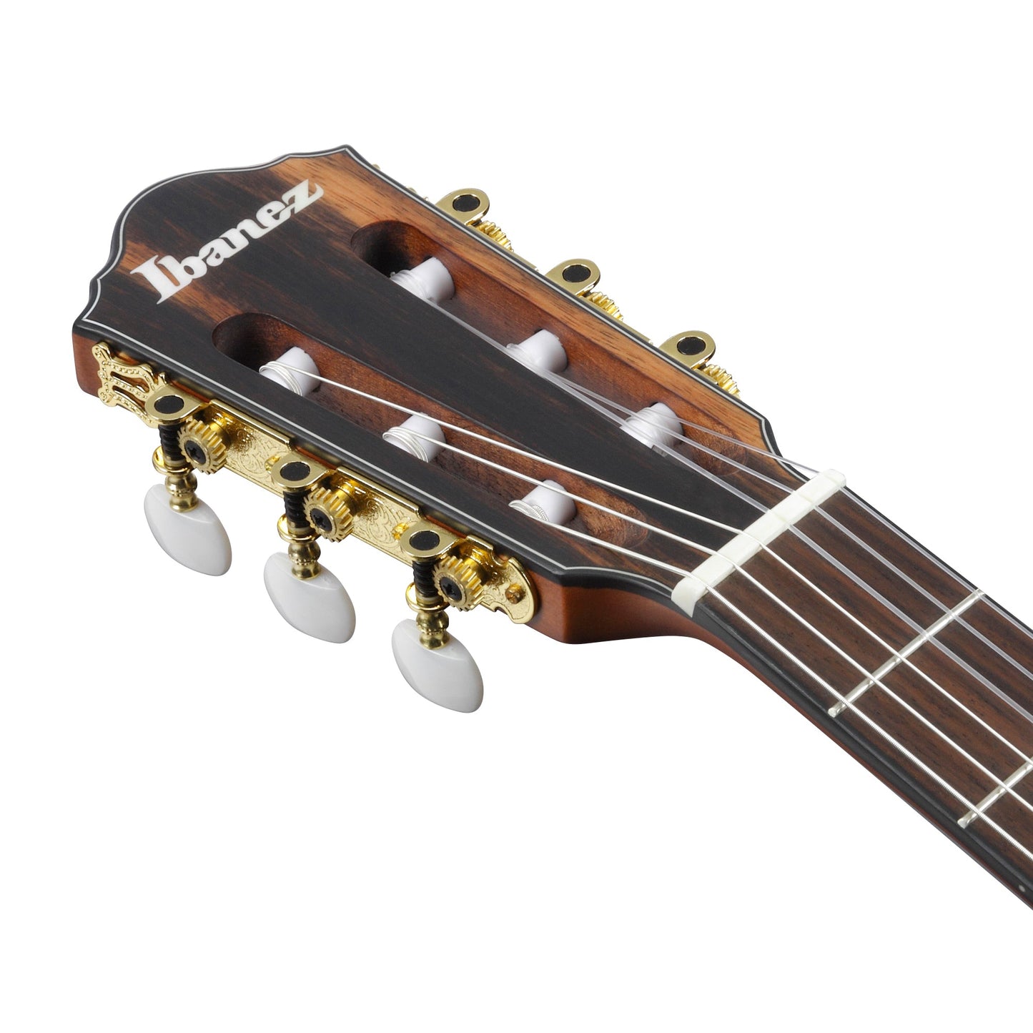 Ibanez FRH10N-NTF - Nylon Acoustic Electric Guitar | Natural Flat